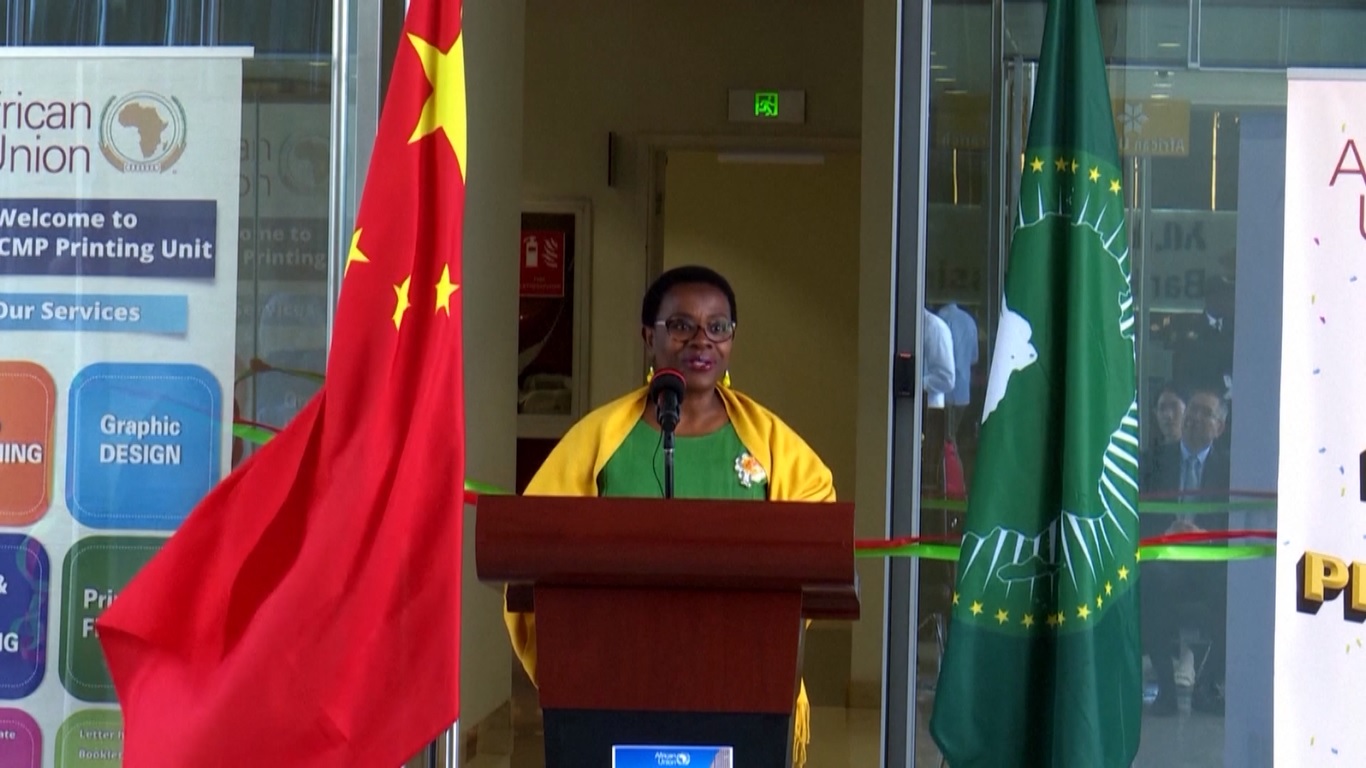 Wakil Ketua Komisi Uni Afrika