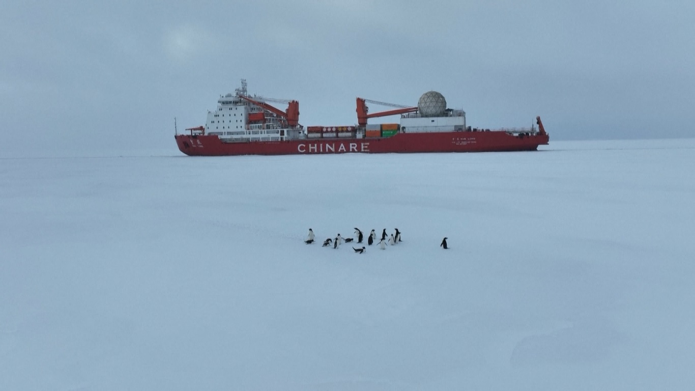 Operasi pembongkaran sekitar 5