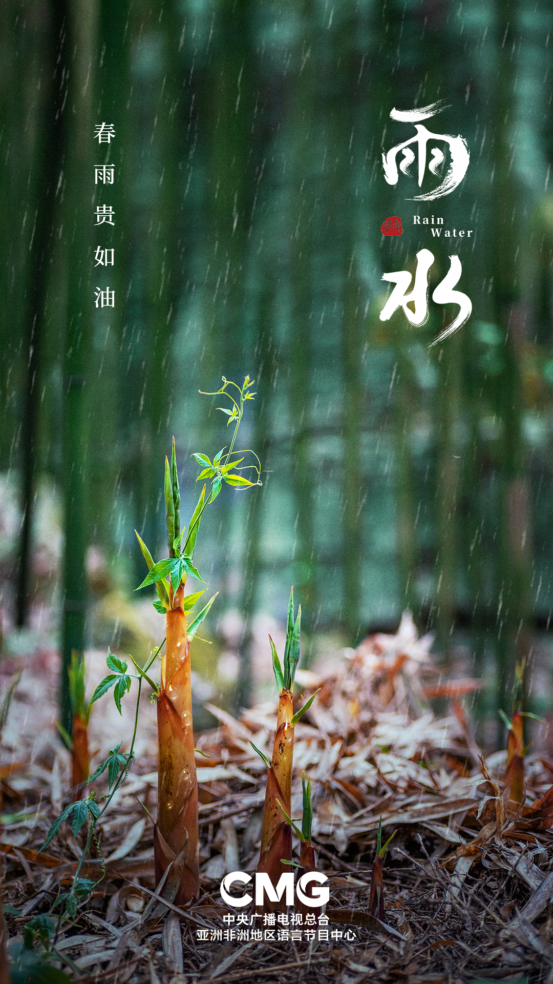 Posisi matahari “Air Hujan” akan tiba pada tanggal 19 Februari