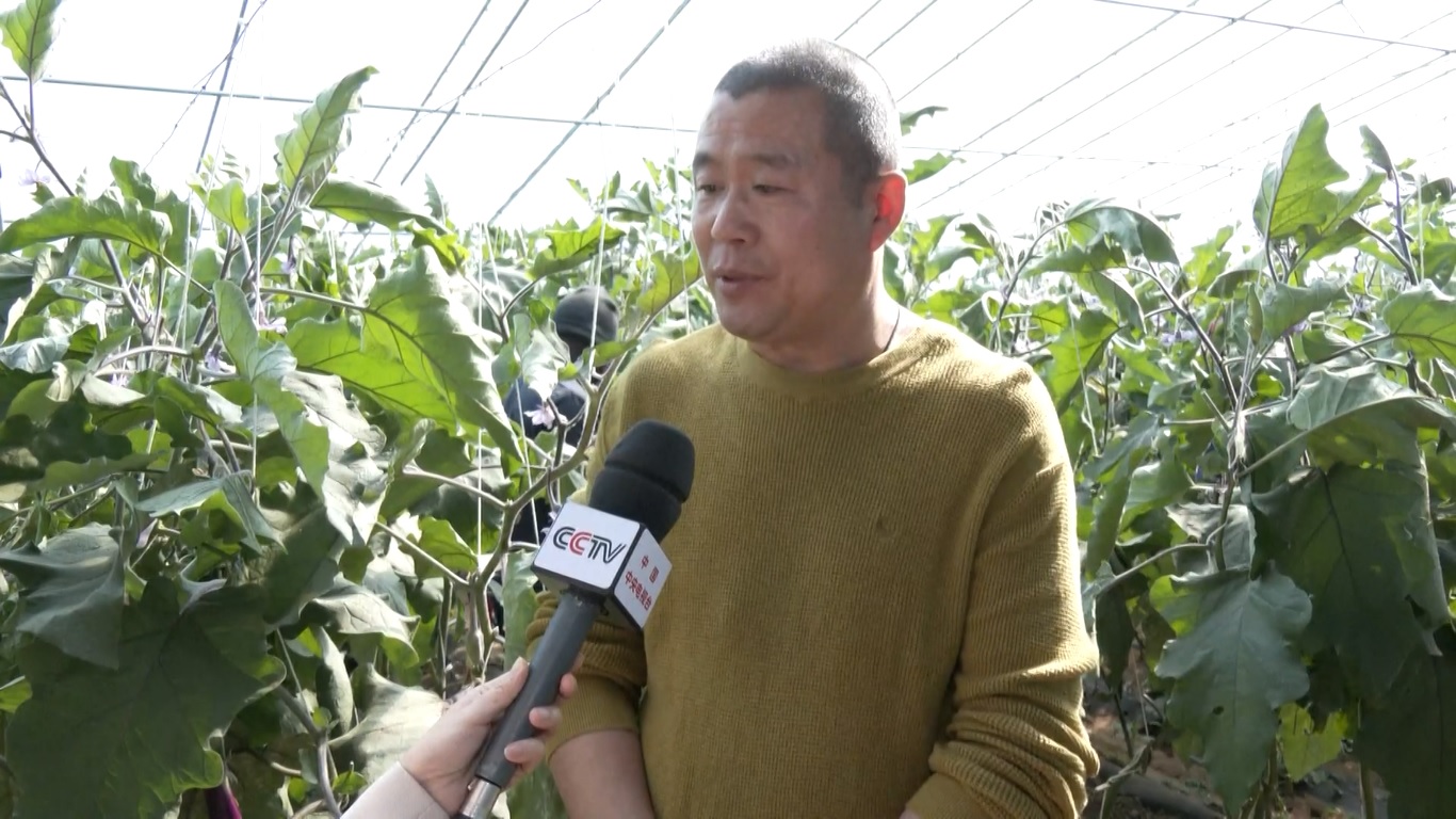 Huang Fenghua dari Provinsi Shandong