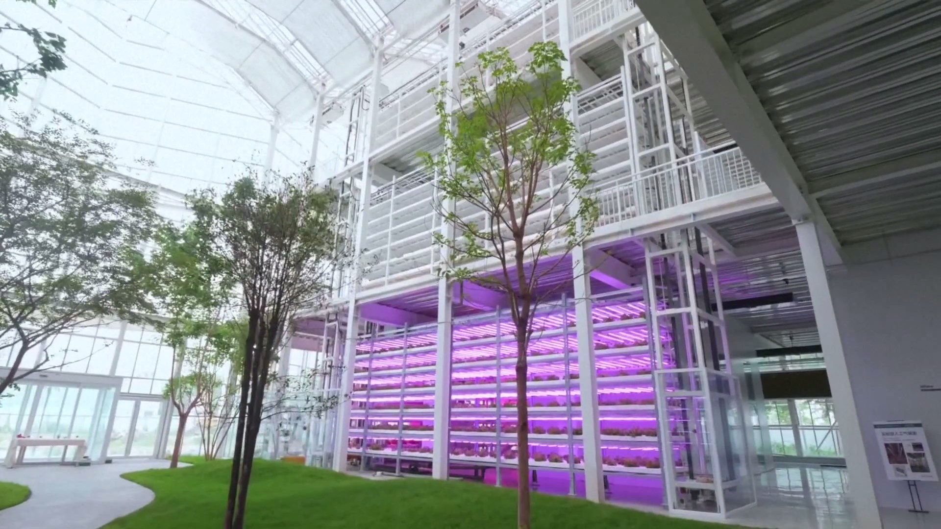 Dengan menggunakan big data dan teknologi AI