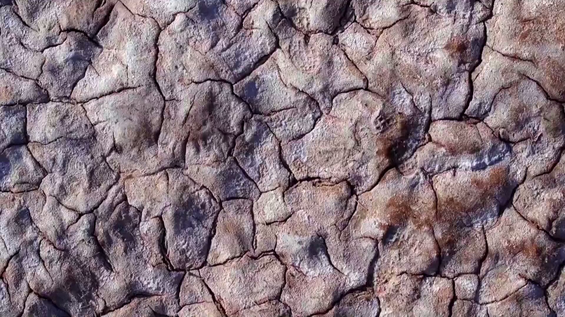 Pakar pertanian Tiongkok telah menggunakan data besar dan teknologi gen dalam pemuliaan untuk merevitalisasi lahan pertanian salin-basa yang luas di Daerah Otonomi Ningxia Hui di barat laut Tiongkok untuk meningkatkan hasil panen dan menjamin ketahanan pangan nasional