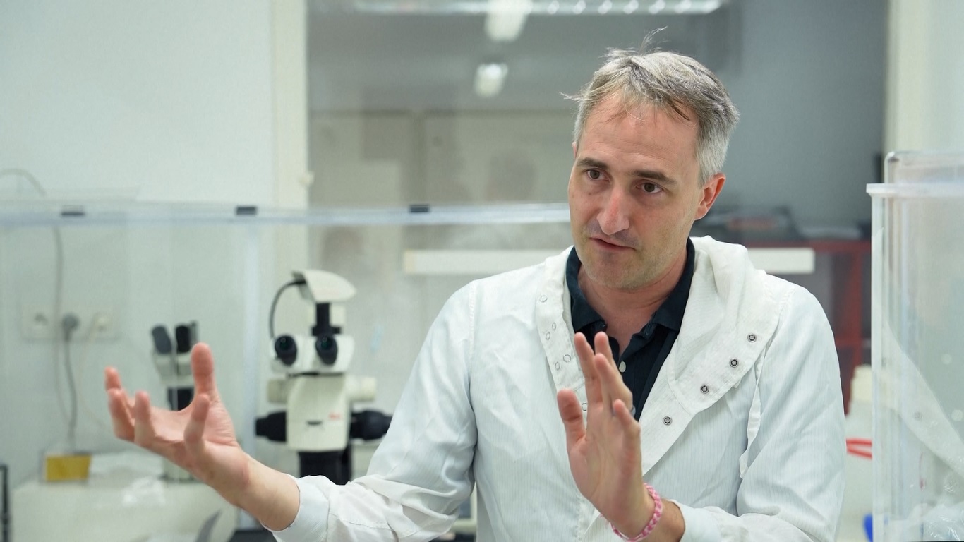 Ilmuwan Prancis Manfaatkan Sampel Bulan yang Dibagikan Tiongkok untuk Memajukan Penelitian Bulan