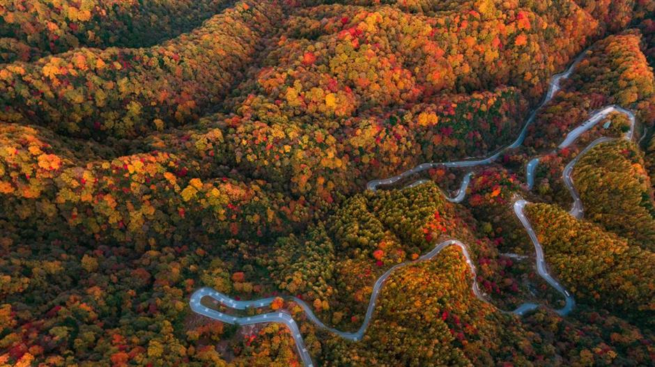 Area Pemandangan Gunung Guangwu menawarkan bentuk lahan unik yang memadukan punggungan dan gugusan puncak yang khas