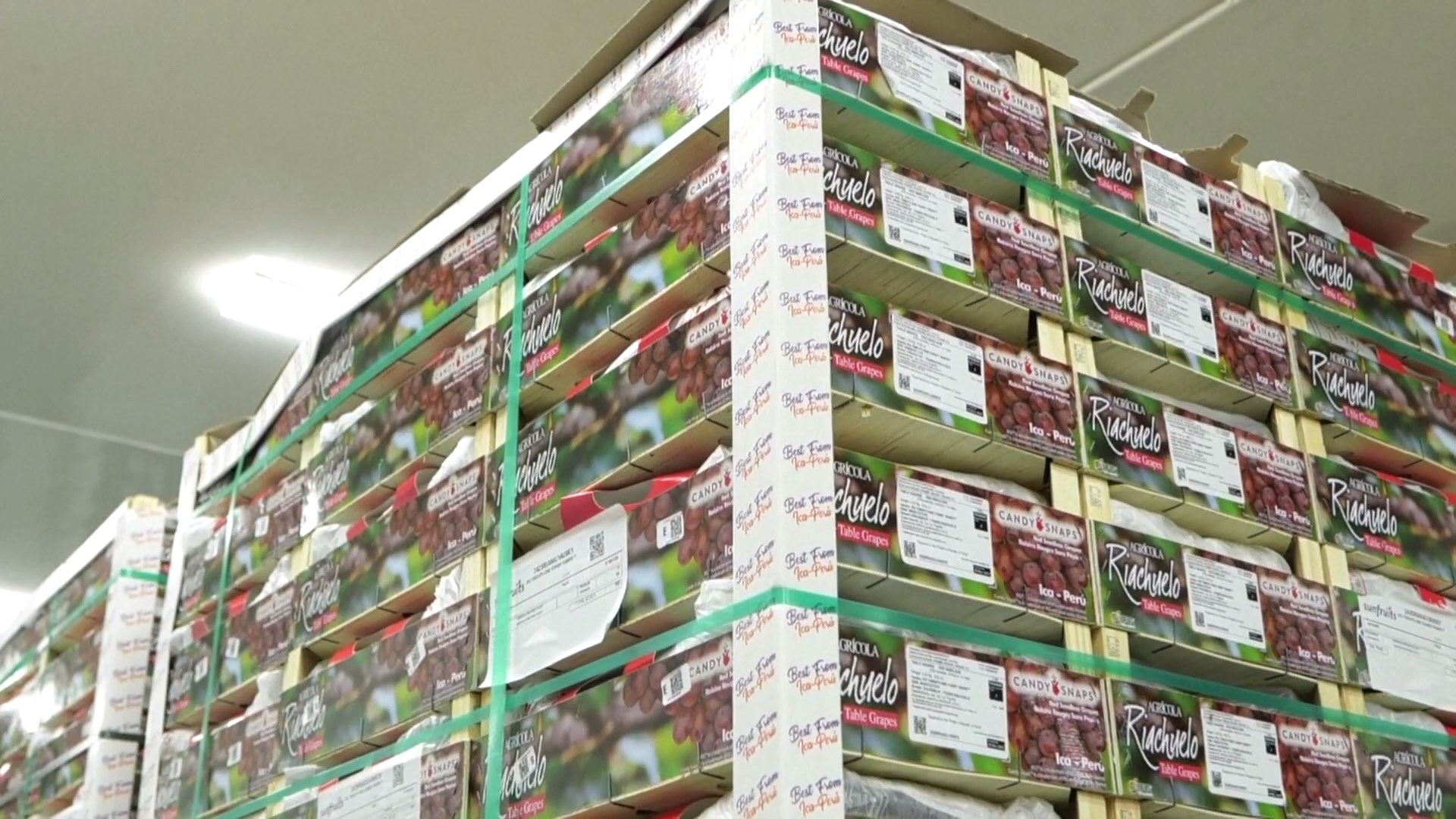 Rute pengiriman baru Chancay-Shanghai mempercepat pengiriman buah-buahan Amerika Selatan ke Tiongkok