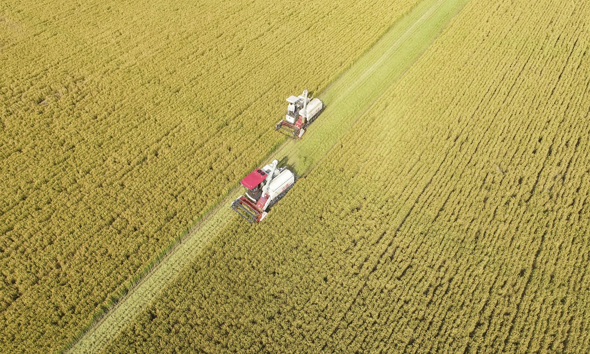 Output biji-bijian Tiongkok pada tahun 2022 mencapai rekor tertinggi baru