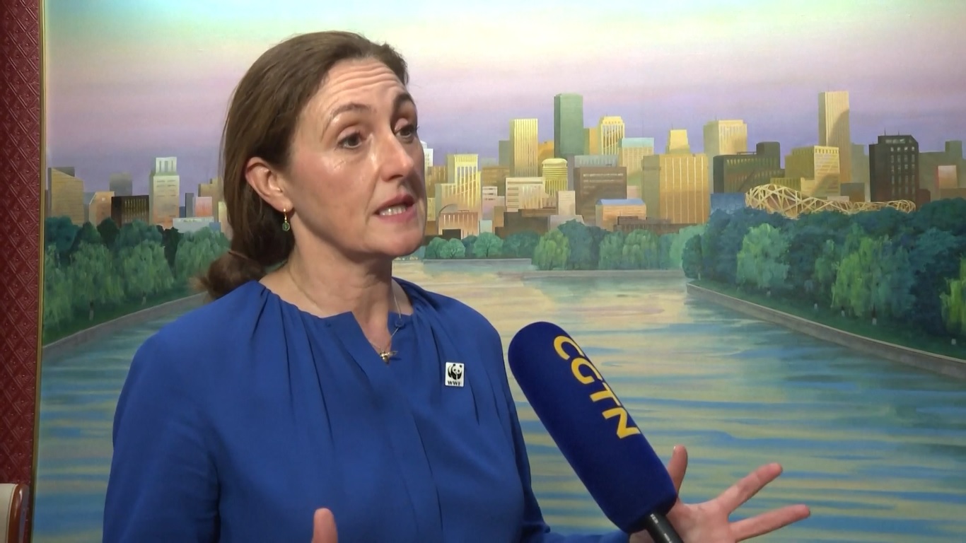 Para Tamu Puji Langkah Maju Tiongkok dalam Pembangunan Hijau di Acara Utama Hari Ekologi Nasional