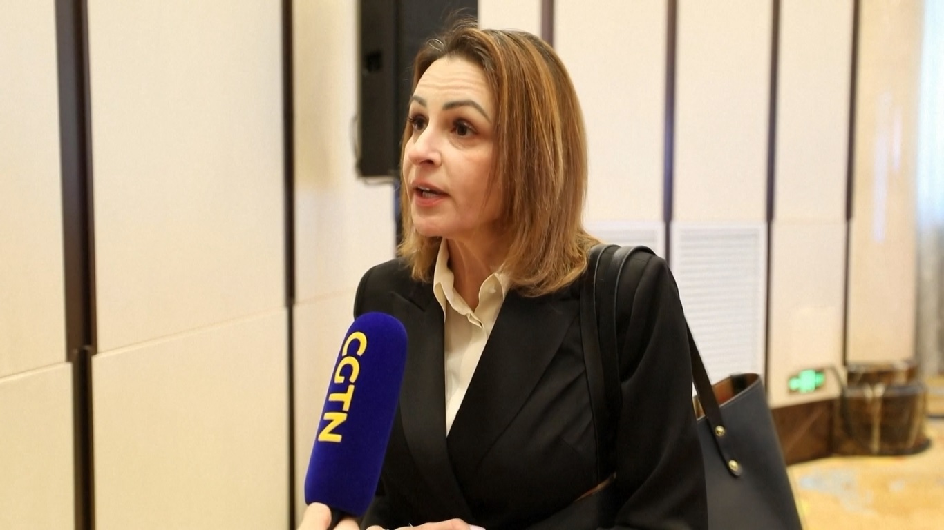 Para peserta mengatakan bahwa forum ini berfokus pada pendalaman kerja sama praktis finansial dan ekonomi antara kedua negara