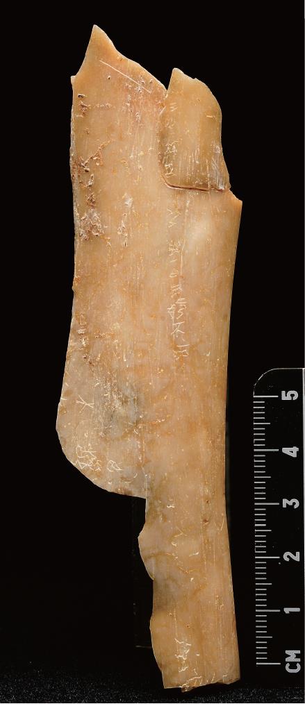 Lebih dari 20000 peralatan batu dan fosil hewan dari 15000 hingga 50000 tahun yang lalu memperkaya pemahaman orang tentang metode produksi dan gaya hidup manusia kuno di Asia Timur Laut