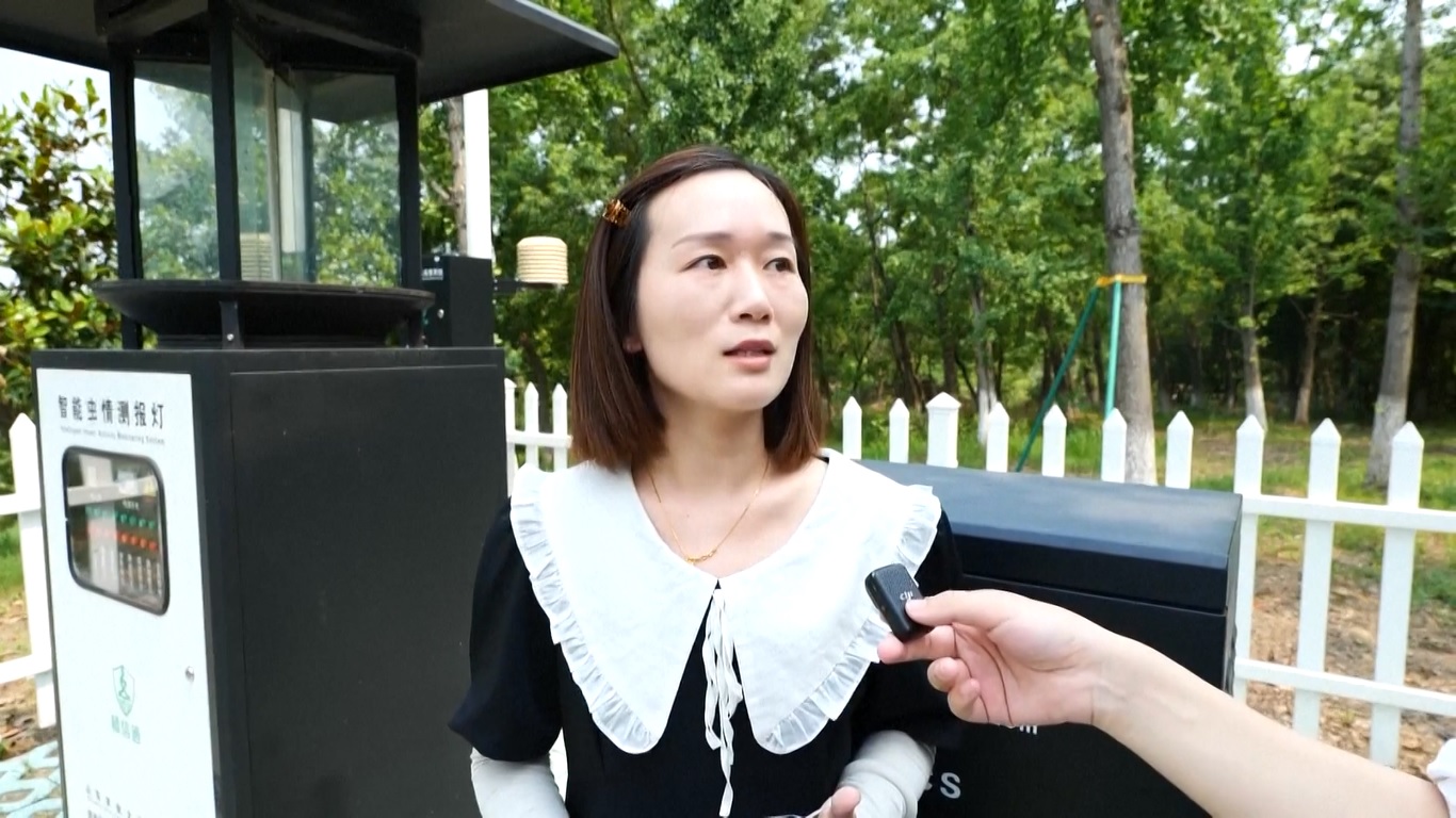 Kota Changzhou telah mengadopsi sistem pemantauan aktivitas serangga cerdas yang menggunakan AI untuk mengidentifikasi serangga