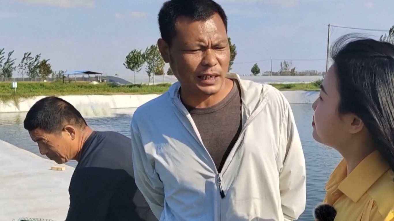 Dengan tanah salin-alkali yang diubah untuk akuakultur