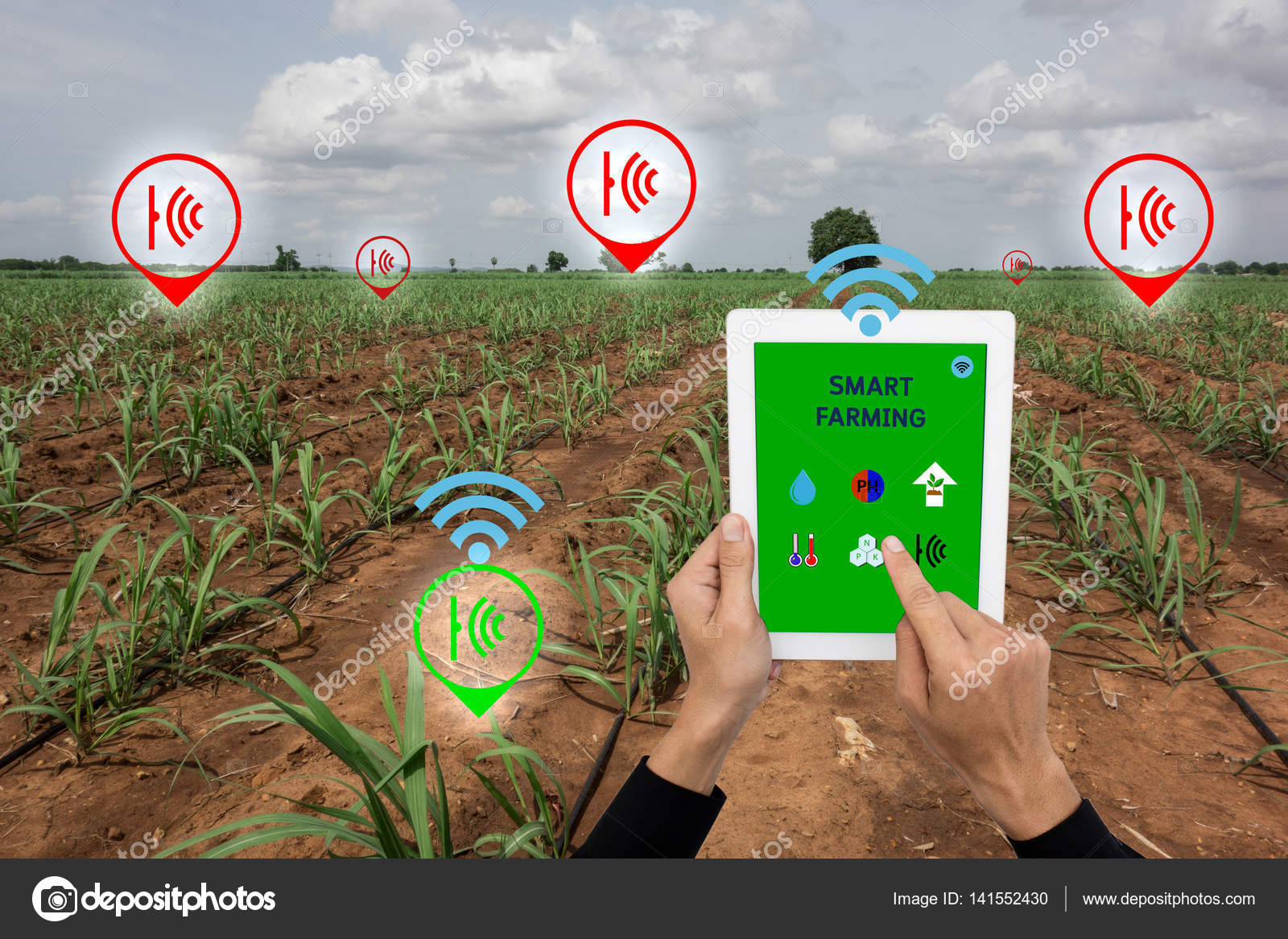 Pertanian modern sangat penting untuk menjaga ketahanan pangan dan kesejahteraan rakyat Tiongkok