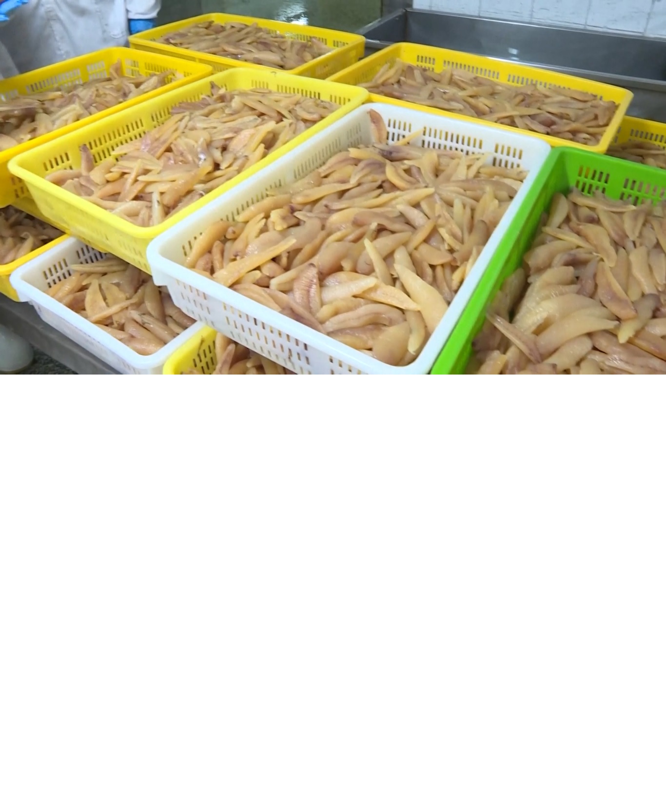 Data bea cukai terbaru menunjukkan Kota Rongcheng mengekspor hampir 1