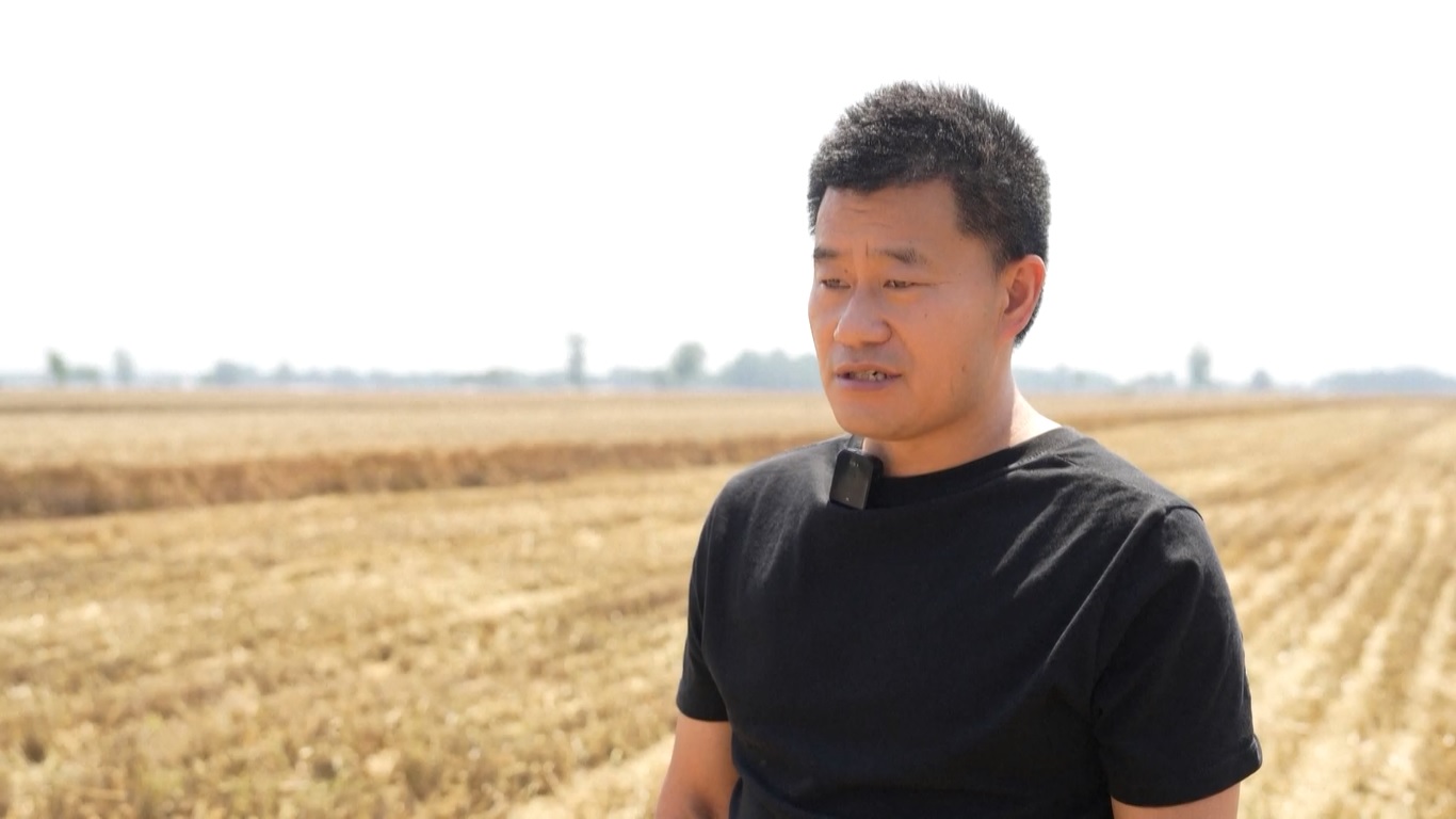 Di Kota Nantong Jiangsu