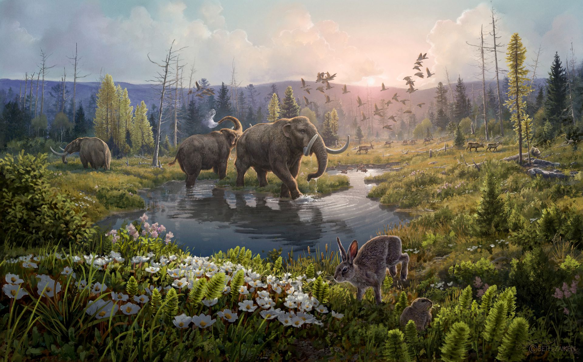 Para ilmuwan telah mengidentifikasi DNA dari hewan