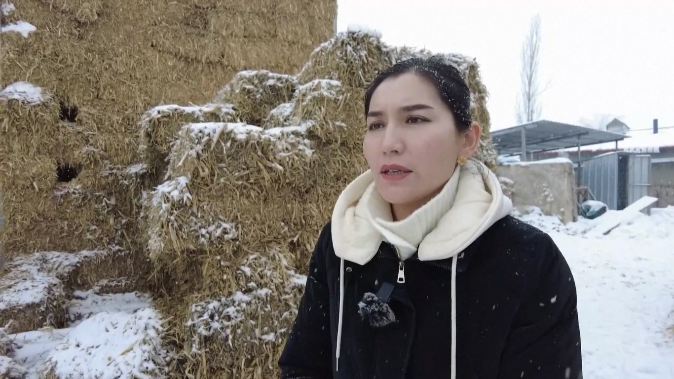 Pada hari Rabu (8/1)