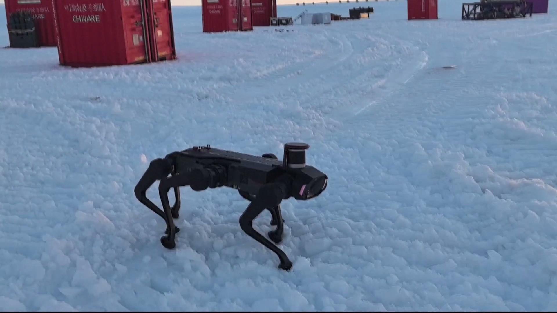  Robot anjing pemandu berkaki enam dari Tiongkok kini dapat memainkan peran penting di berbagai bidang dengan teknologi AI terbaru yang menyertainya