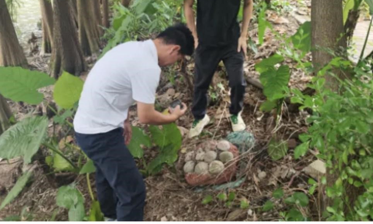 Fosil Telur Dinosaurus Utuh Ditemukan Seorang Warga di Pusat Kota Guangzhou