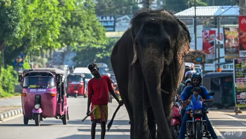 Namun hingga kini produksi dan penjualan produk plastik lokal terus berlanjut