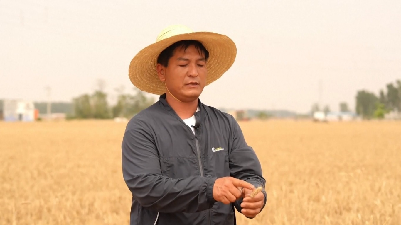 Menurut laporan kerja tahunan pemerintah