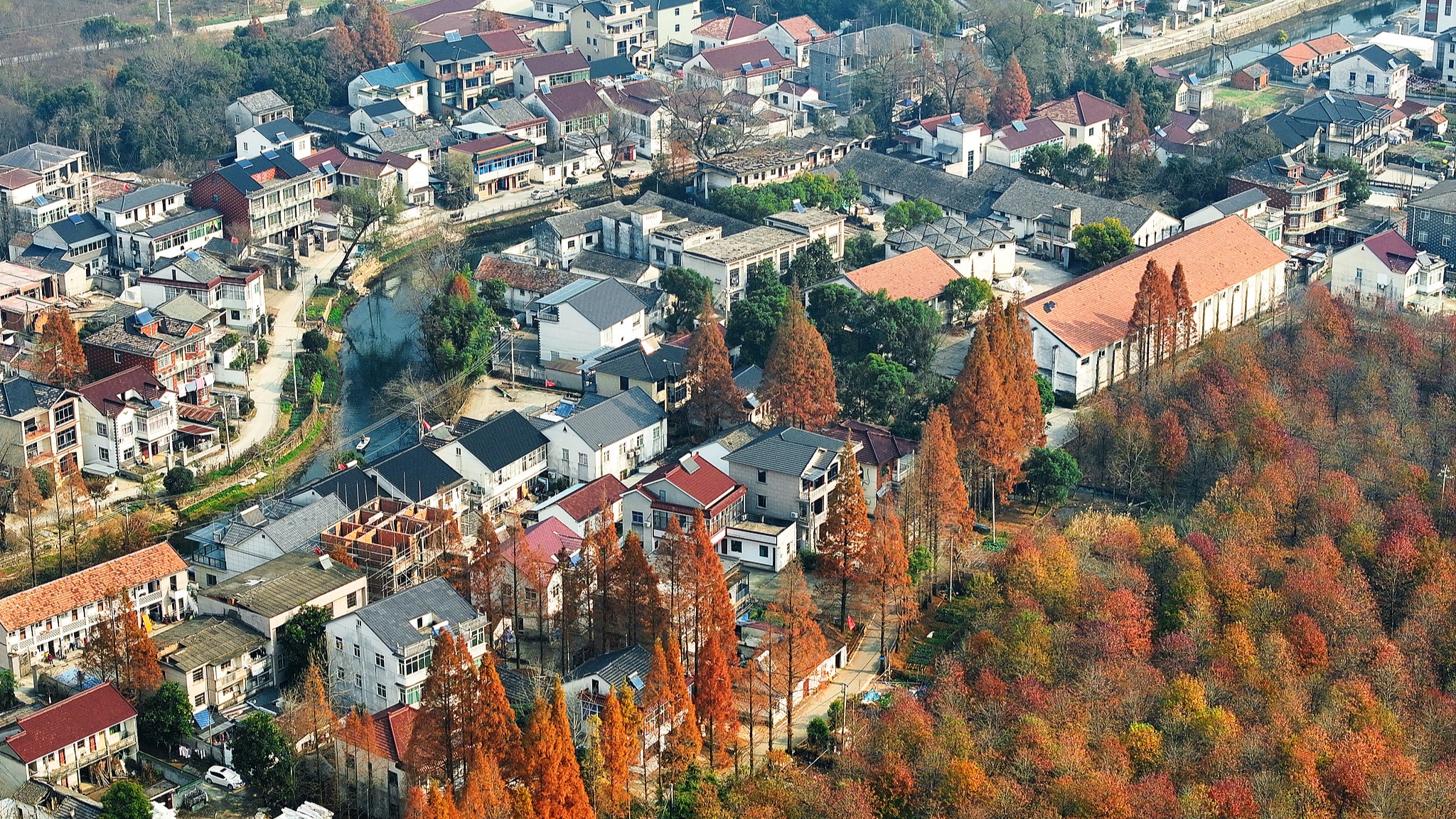 Xi juga menyerukan upaya yang kuat untuk mempromosikan inisiatif pembangunan pedesaan