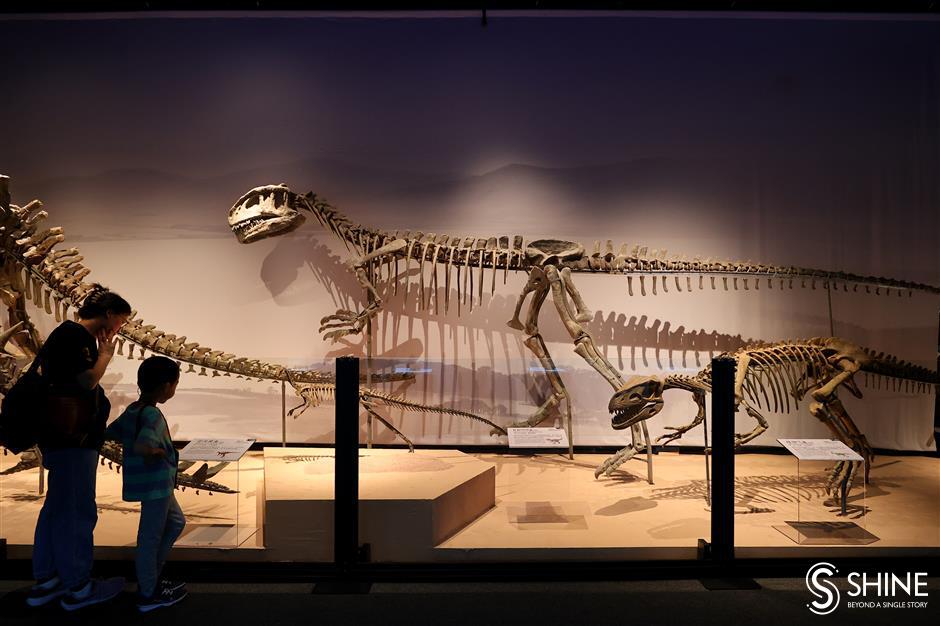 Bertajuk Dunia Dinosaurus Tiongkok pameran ini menampilkan 80 fosil yang dilindungi kelas satu dan 42 holotipe