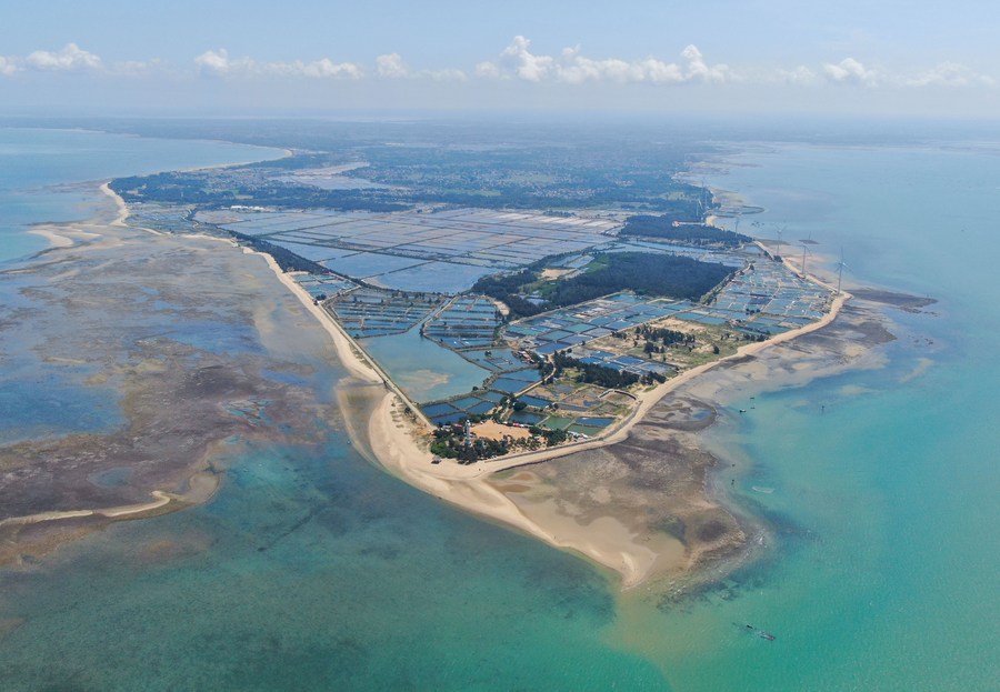 Dalam beberapa tahun terakhir