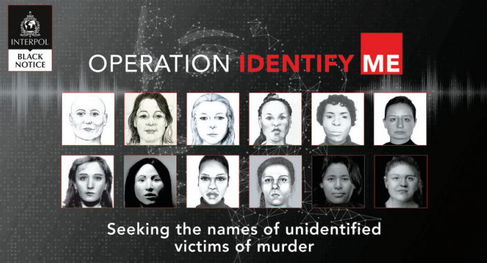 Organisasi kepolisian internasional