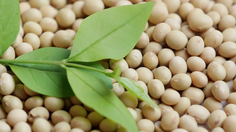 Dalam wawancara baru-baru ini dengan CGTN