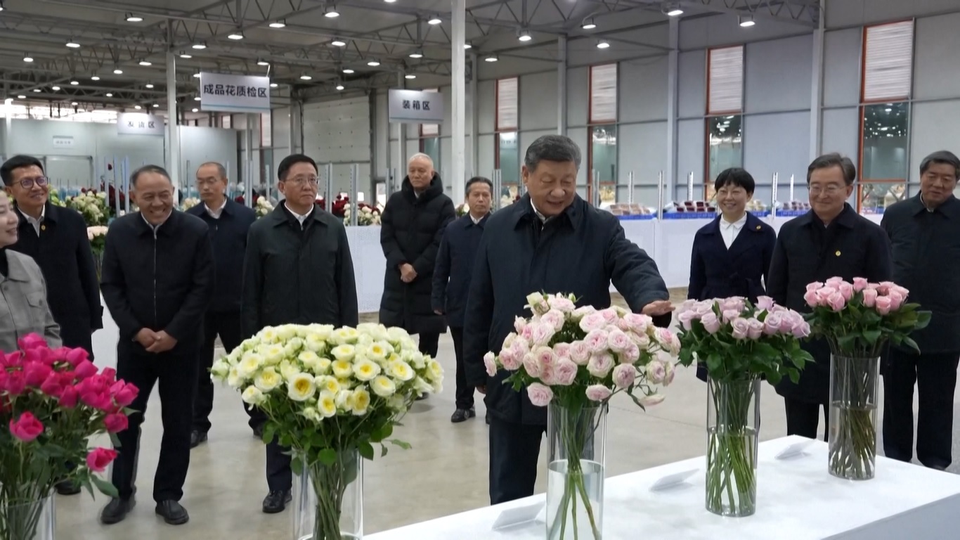 Selama inspeksi di Lijiang