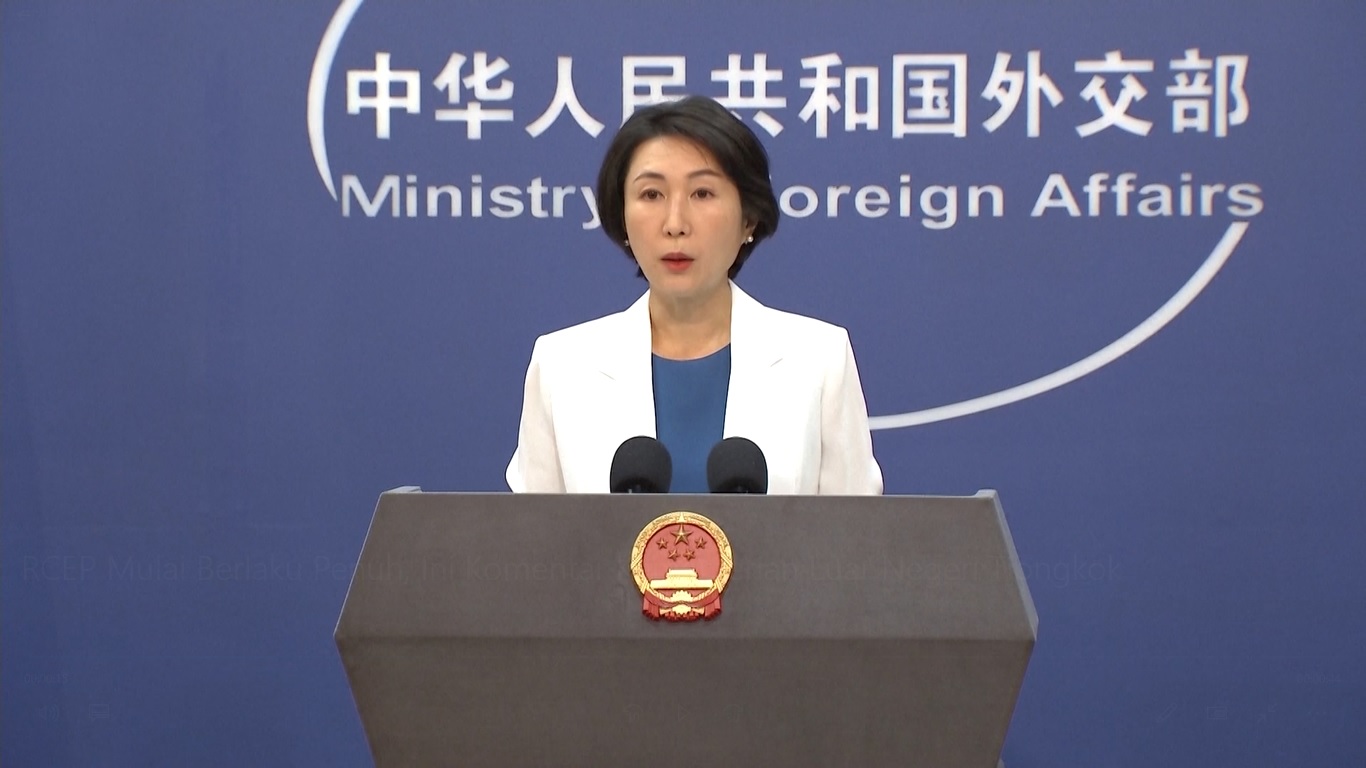 Direktur Jenderal IAEA