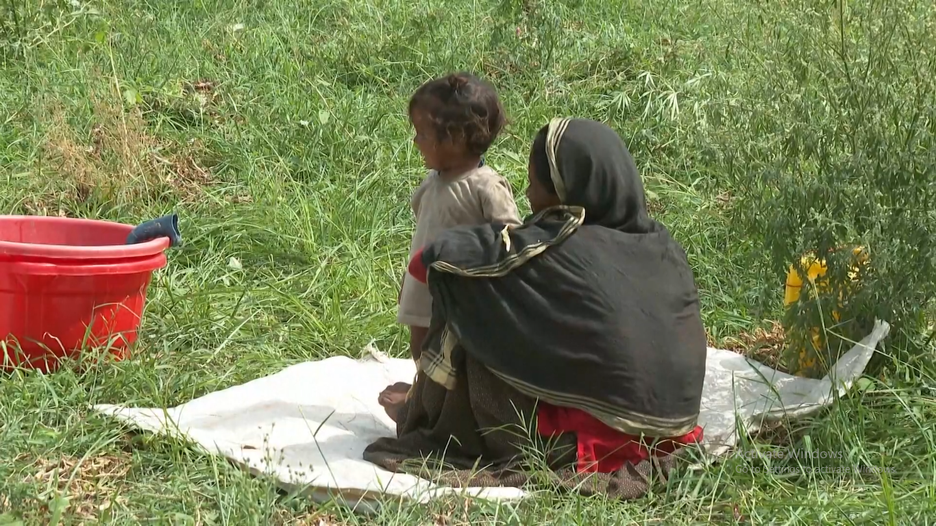 Gelombang panas yang melanda seluruh India telah menurunkan produksi pertanian dan mengganggu kehidupan masyarakat