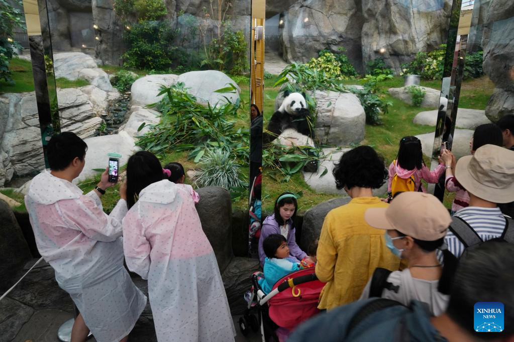 Pemerintah Hong Kong telah bekerja sama dengan otoritas terkait di daratan