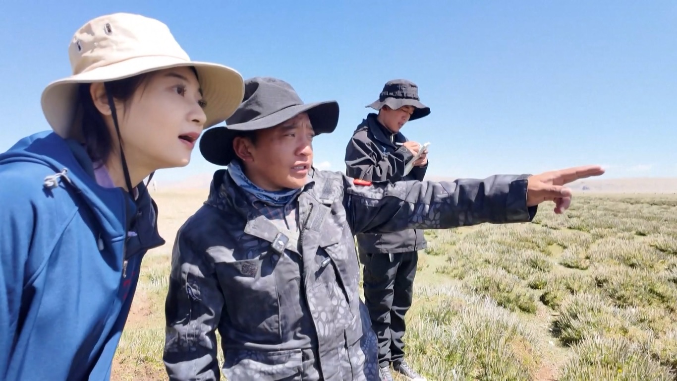 Penjaga Satwa Liar Ini Jadikan Alam Liar sebagai Rumahnya untuk Lindungi Spesies Langka di Tibet