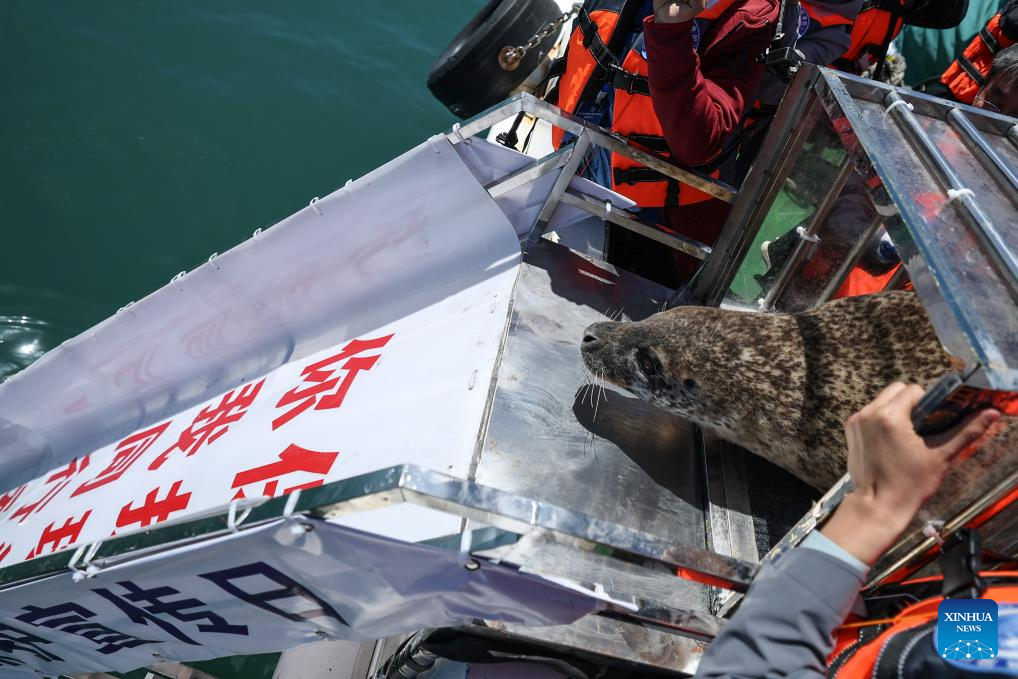 Di Tiongkok anjing laut tutul adalah satu-satunya mamalia laut berpipi yang berkembang biak di perairan Tiongkok yang berada di bawah perlindungan negara