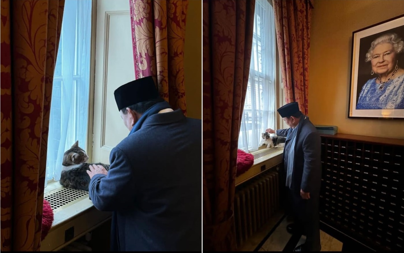 Meeting Larry the cat at 10 Downing Street