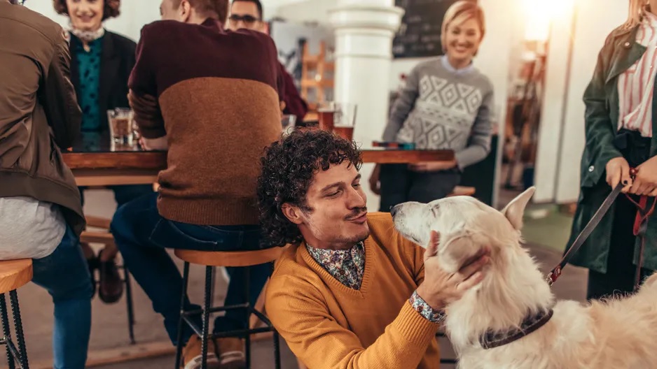 Kafe hewan adalah bisnis yang besar di Tiongkok dan memiliki banyak penggemar Pengunjung bisa berinteraksi dengan hewan-hewan yang berkeliaran di kafe