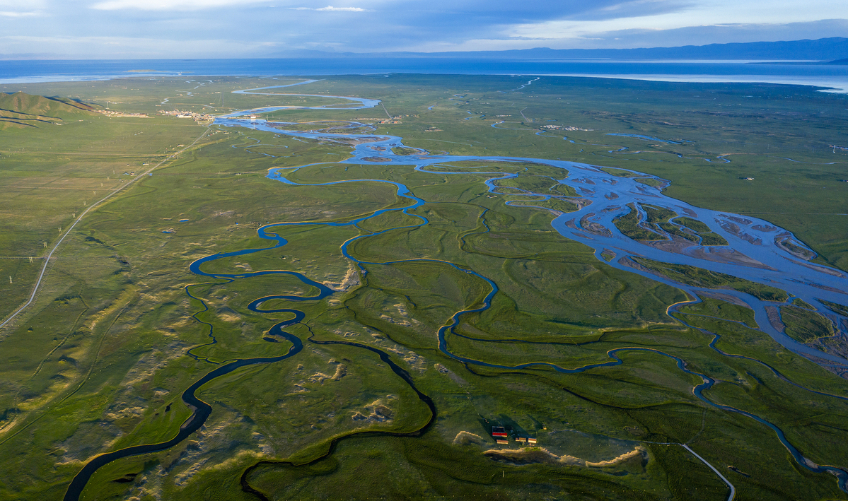 Menurut Administrasi Kehutanan dan Padang Rumput Nasionalm selama dekade terakhir