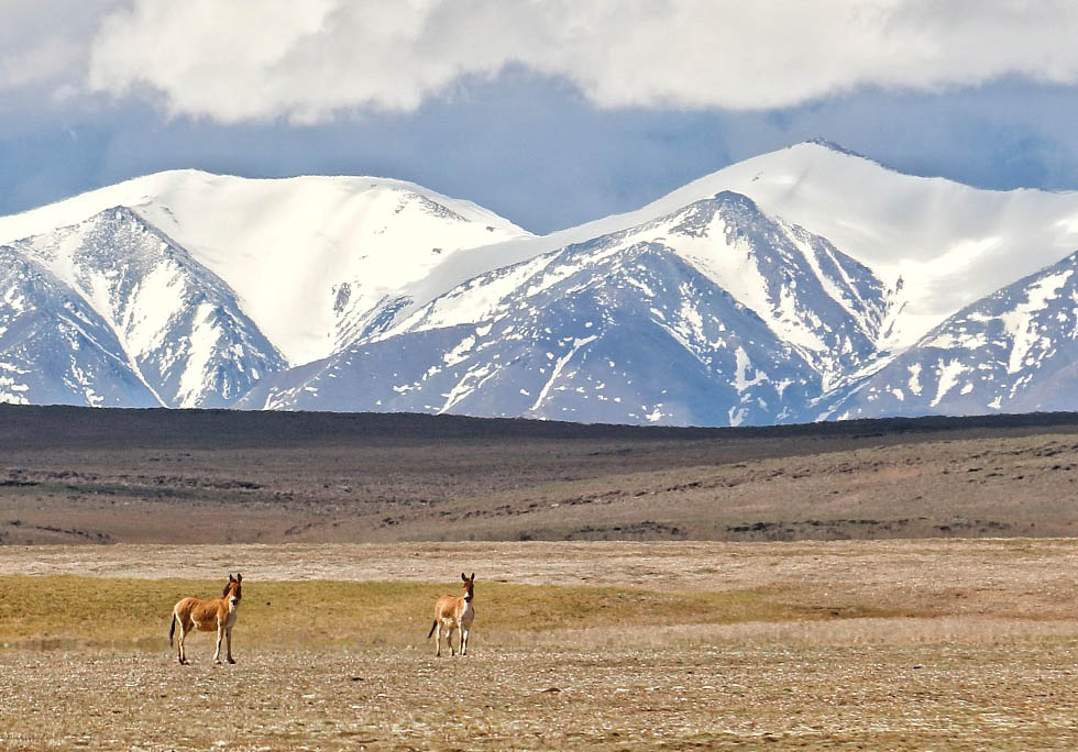 Tiongkok akan membangun sistem taman nasional terbesar di dunia dengan lebih banyak taman nasional yang akan dibangun