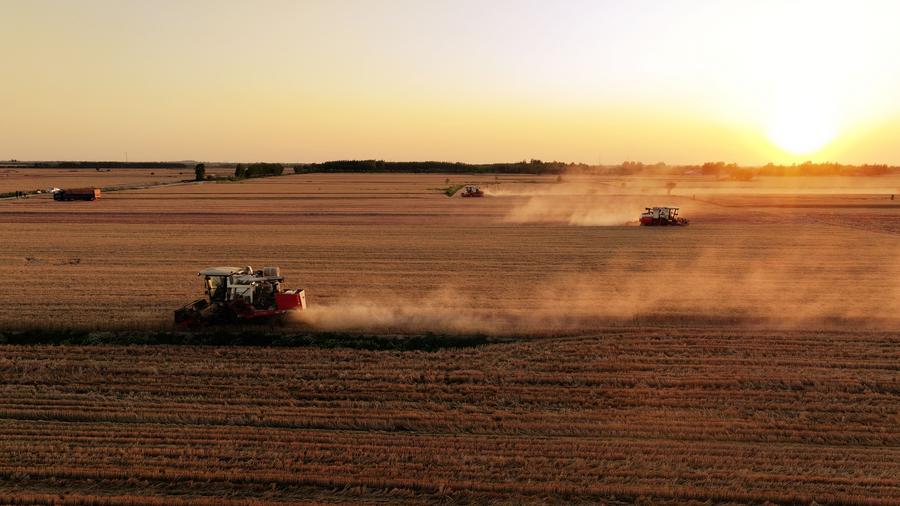 Tiongkok Mengandalkan Benih Berteknologi Tinggi dan Pertanian Berbasis Teknologi