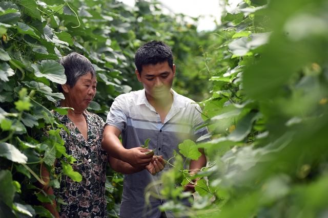 Dengan keahliannya di bidang pertanian