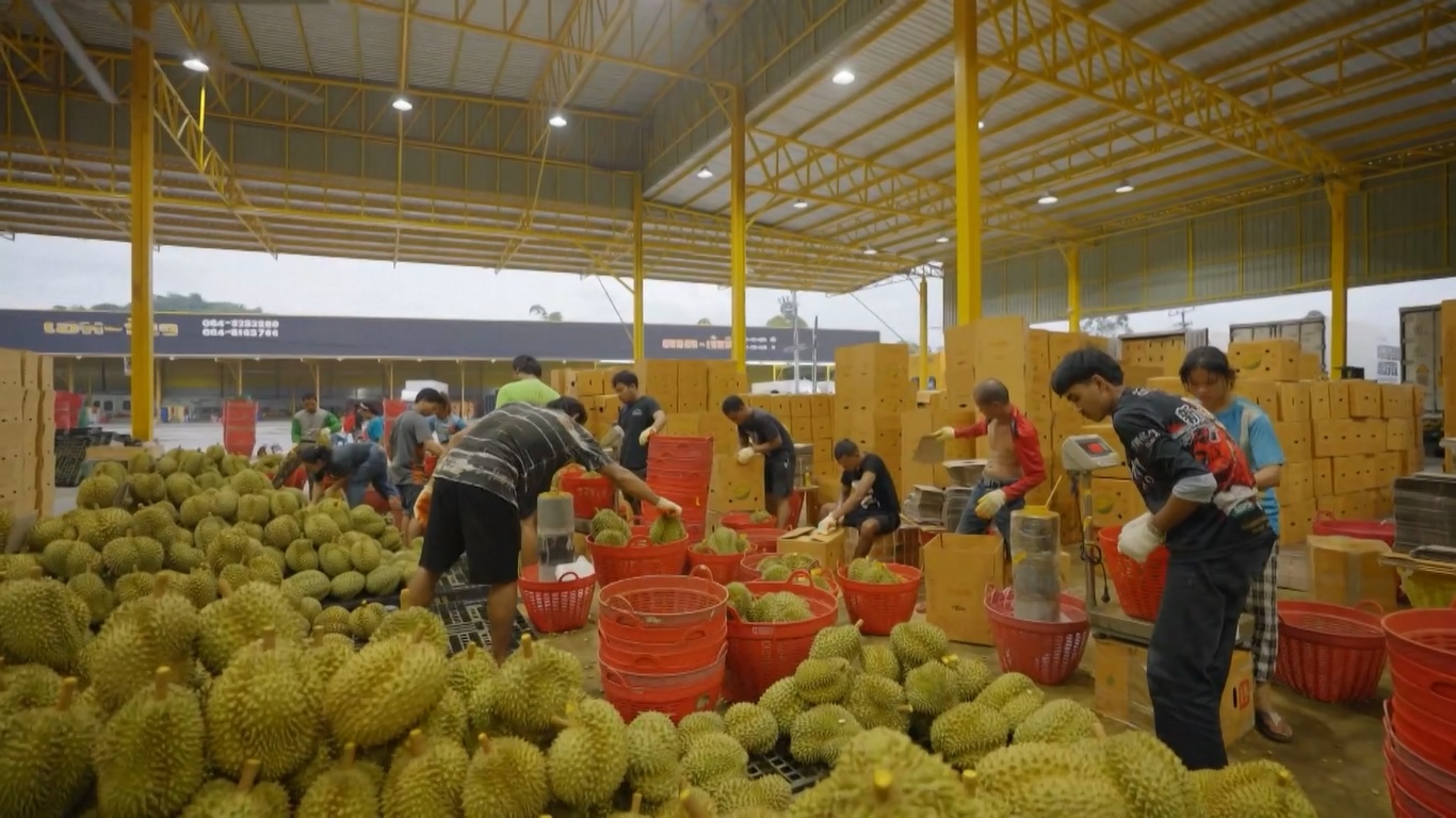 Kereta barang tersebut membawa 28 peti kemas berpendingin berisi berbagai pilihan buah-buahan