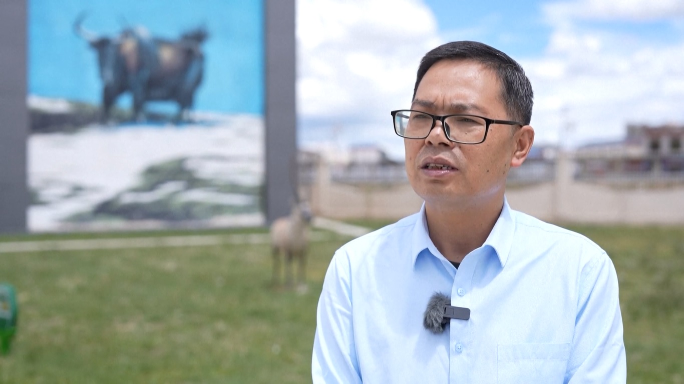 Dataran Tinggi Tibet Utara Alami Transformasi Ekologi saat Tibet Rayakan Ulang Tahun ke-60