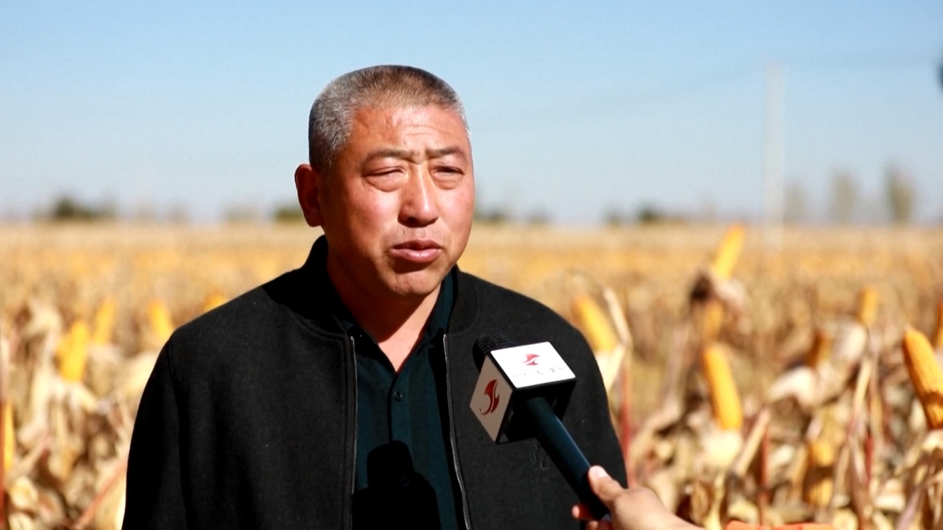 Produksi biji-bijian di Provinsi Jilin