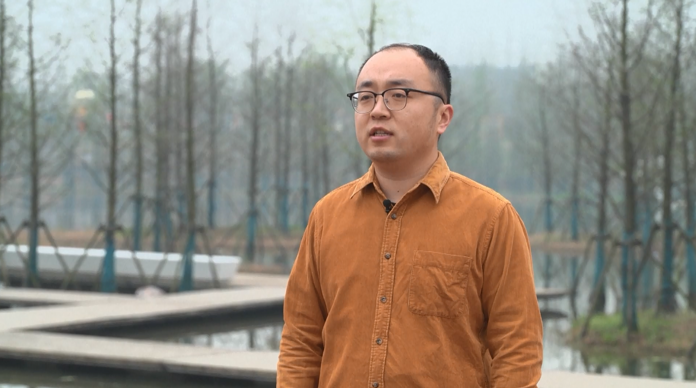 Tiongkok Alami Kemajuan Berkelanjutan dalam Penghijauan