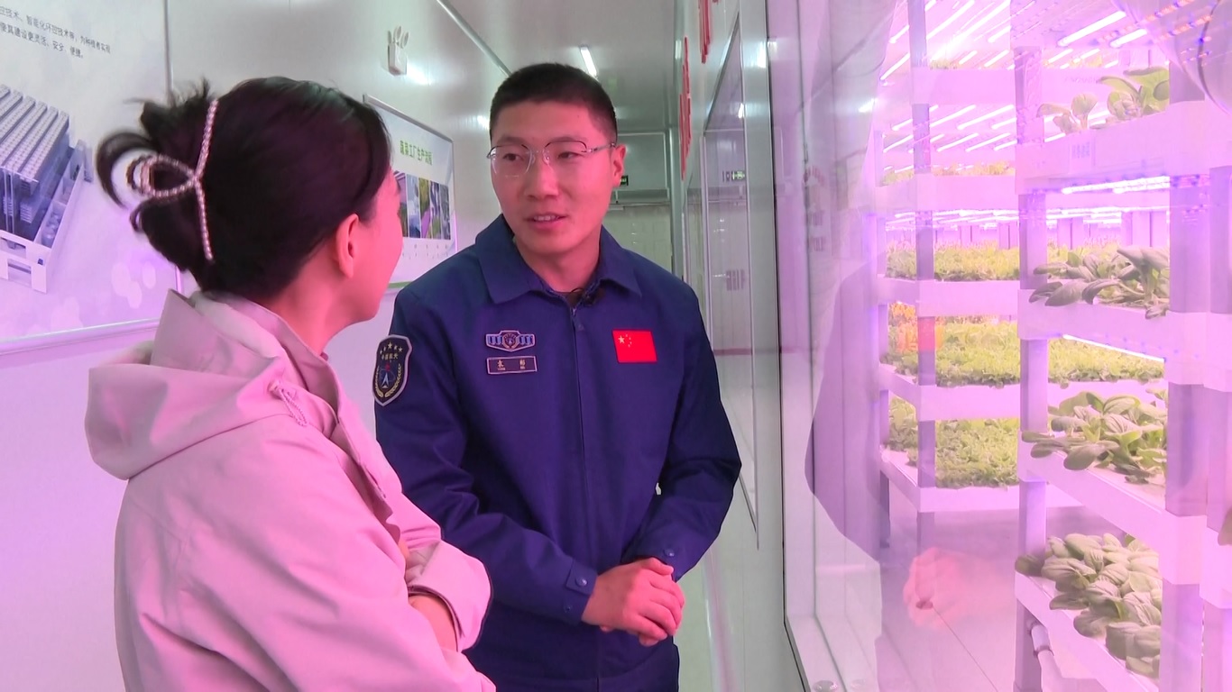 Meskipun tidak ada tanah atau sinar matahari