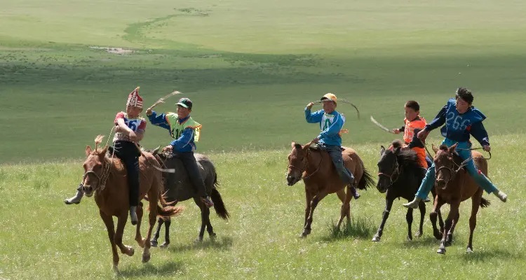 Festival Naadam adalah sebuah festival padang rumput termegah yang dirayakan di Mongolia Dalam Naadam sendiri memiliki arti hiburan dalam bahasa Mongolia 
Festival ini dirayakan sekitar Juli atau Agustus dan akhir Desember dengan durasi 1-5 hari