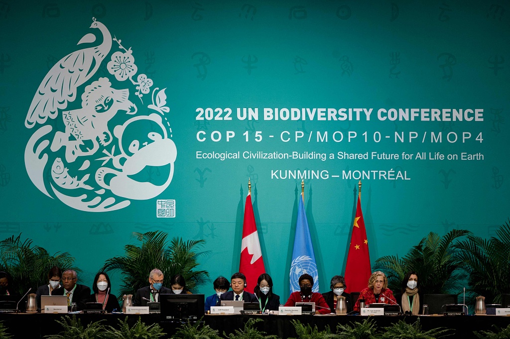 Fase kedua dari Konferensi ke-15 Konvensi PBB tentang Keanekaragaman Hayati (COP15) dimulai Rabu di Kanada Tiongkok sebagai presiden konferensi dengan tema lanjutan Peradaban Ekologis: Membangun Masa Depan Bersama untuk Semua Kehidupan di Bumi
