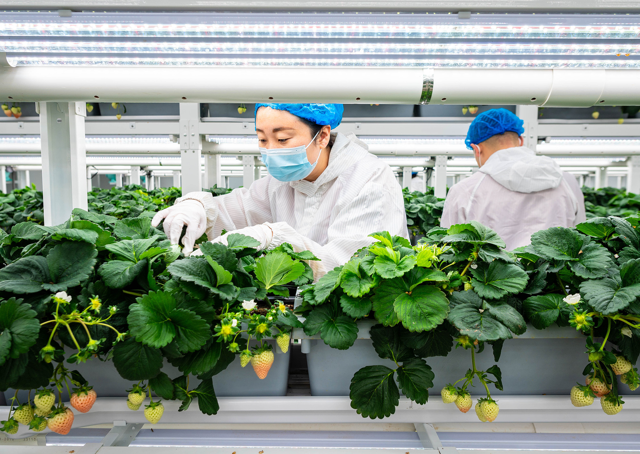 Sebagai ekonomi terbesar kedua di dunia