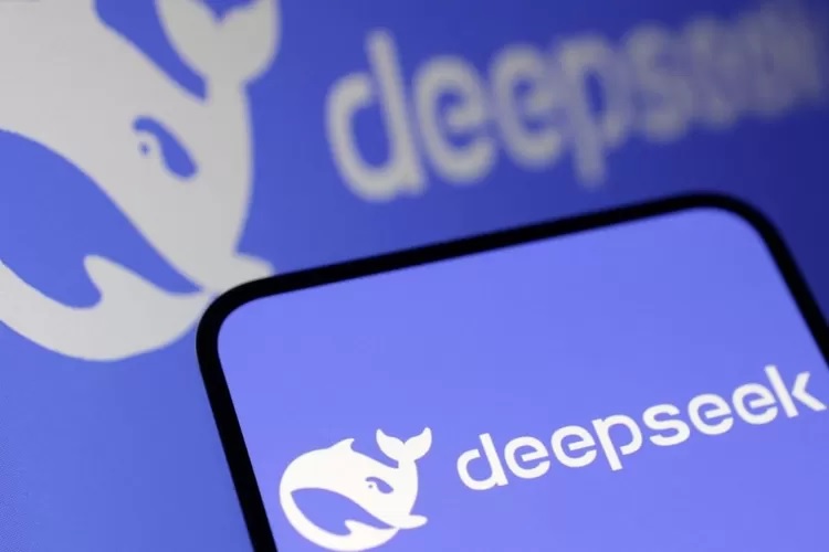 Pemerintah setempat menilai efisiensi mereka luar biasa